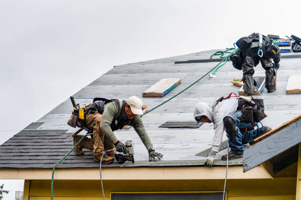 Professional Gutter Installation technician working in Braxton, MS